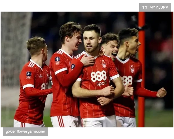 德甲拟推季后赛制度引发热议球迷观点分歧凸显传统与创新之争